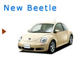 VW New Beetle