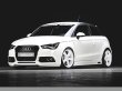 画像2: RIEGER TUNING AUDI A1 F/リップスポイラー 【お取寄せ商品】 (2)