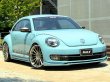 画像2: HALT DTMサイドステップ(FRP) Ver.2 The Beetle (2)