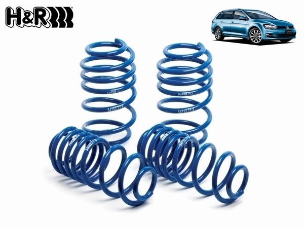 画像3: H&R ローダウンスプリング for VW Golf7/Golf7 Variant (3)