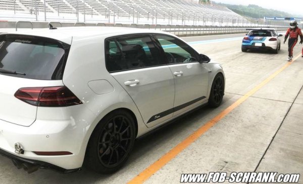 画像4: 【ブラックフライデー】Racingline サイドドアデカールショート /ゴルフ7 (4)