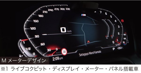 画像3: PLUG DSP! for BMW Gxx (3)