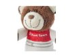 画像2: AUDI Sport Motorsport Bear キーリング (2)