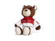 画像1: AUDI Sport Motorsport Bear (1)