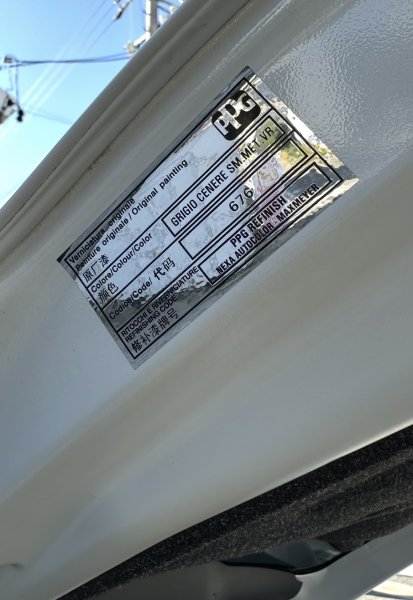 画像5: 【受注生産品】ドアパネルプレート for カラードタイプ・未塗装タイプ [90000993color] (5)