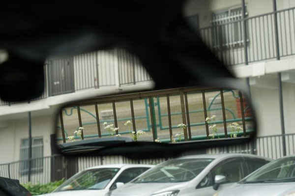 画像2: A/S+ Wide View Room Mirror Lenz Blue for ABARTH500/595/695&FIAT500 [005702/005700] (2)