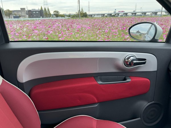 画像4: 【受注生産品】ドアパネルプレート for カラードタイプ・未塗装タイプ [90000993color] (4)