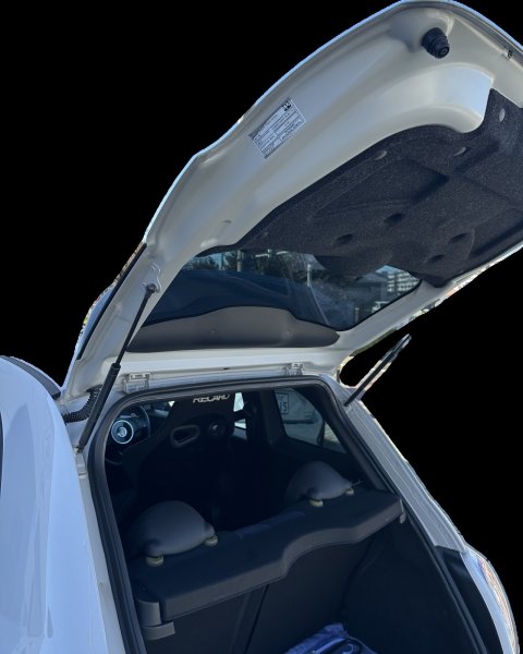 画像6: 【受注生産品】ドアパネルプレート for カラードタイプ・未塗装タイプ [90000993color] (6)